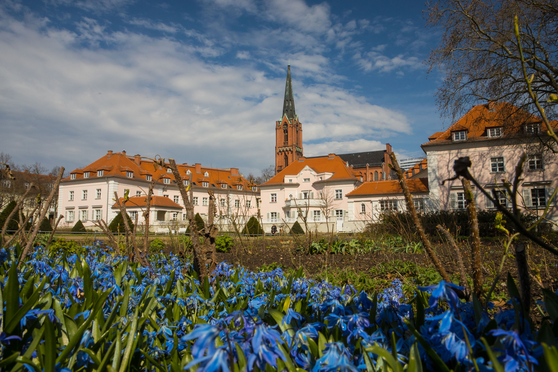 Kirchenturm und Angergebäude im Hintergrund und die blauen Frühlingsblumen im Vordergrund.